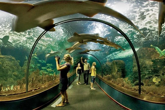 Loro Parque Puerto de la Cruz